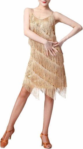 1920s Women Sequin Latin Dance Tassel Fringe Dress Flapper Sexy Gatsby Cocktail Vintage Tango Ballroom Roaring 20s Party