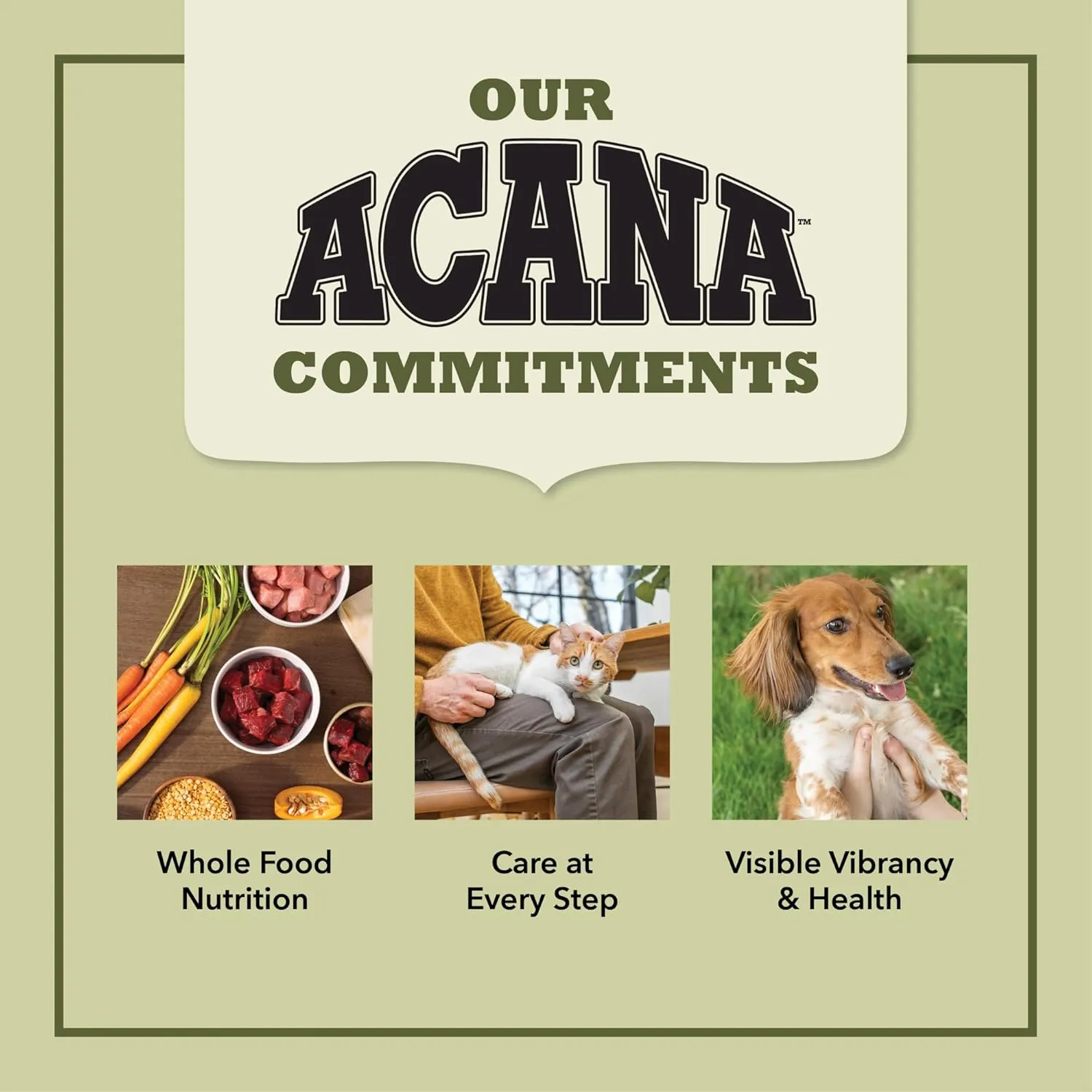 ACANA Highest Protein Dry Cat Food for Kittens, Poultry and Fish Cat Food, 4lb