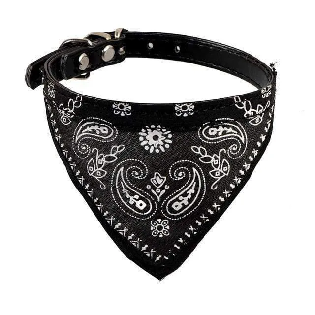 Adjustable Dog Collar