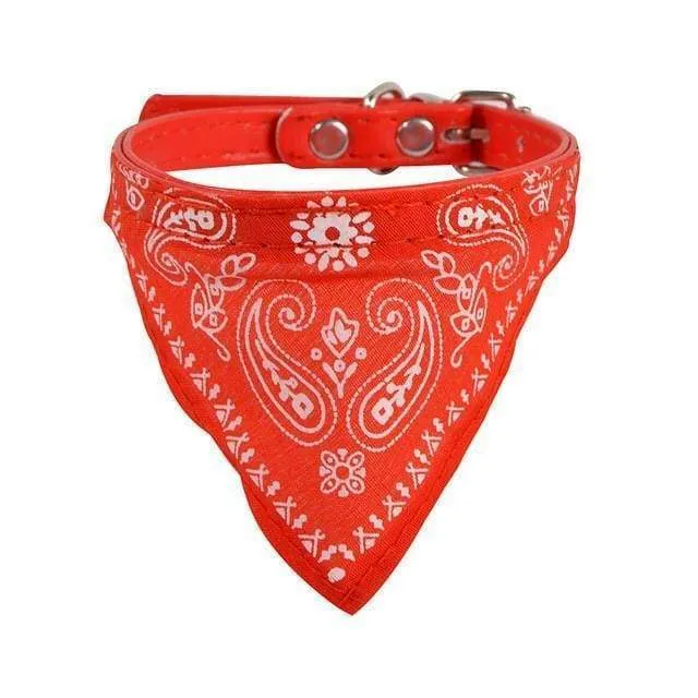 Adjustable Dog Collar