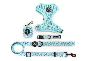 Adjustable Dog Leash | Eucalyptus