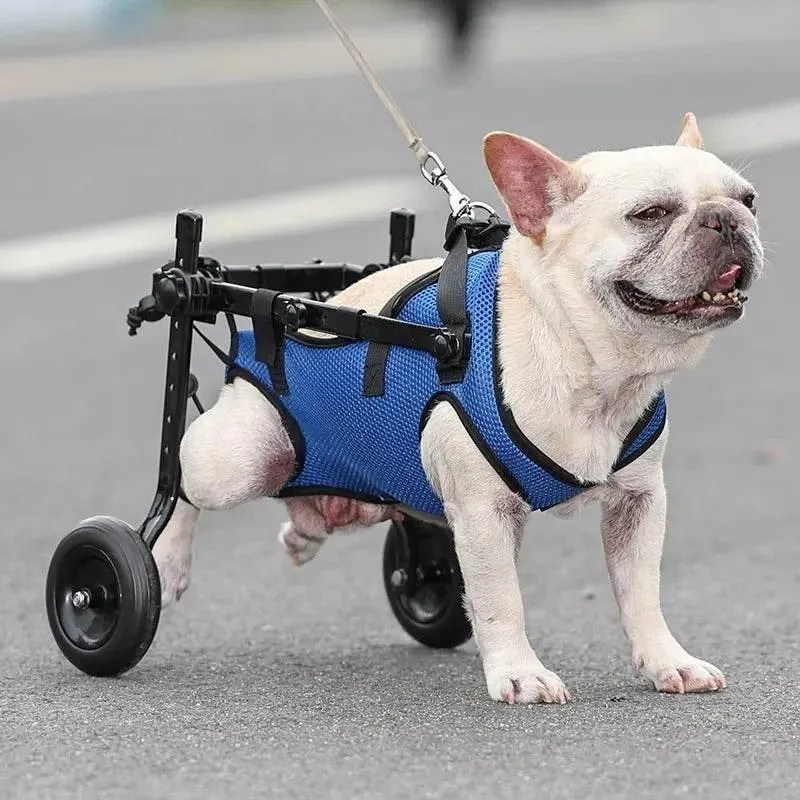 Adjustable Dog Wheelchair - Ergonomic Pet Mobility Aid