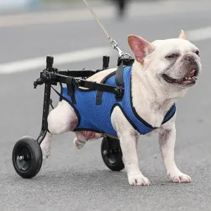 Adjustable Dog Wheelchair - Ergonomic Pet Mobility Aid
