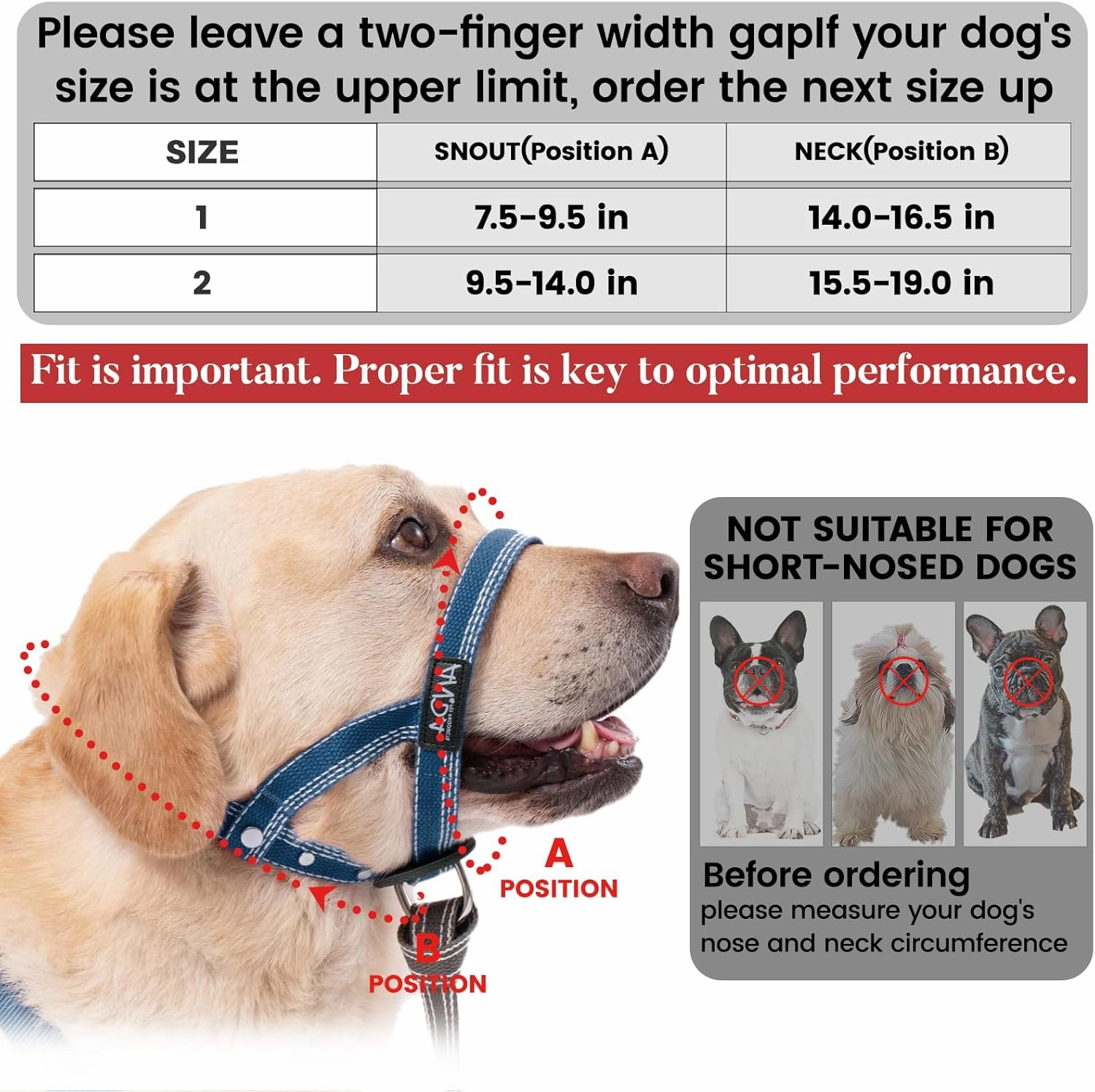 ANDA Ultra-Light No-Pull Gentle Leader for Dogs Headcollar: Adjustable, Breathable Comfort, Prevents Explosive Rushes, Ideal for Daily Use (Blue, Size 1)