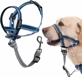 ANDA Ultra-Light No-Pull Gentle Leader for Dogs Headcollar: Adjustable, Breathable Comfort, Prevents Explosive Rushes, Ideal for Daily Use (Blue, Size 1)