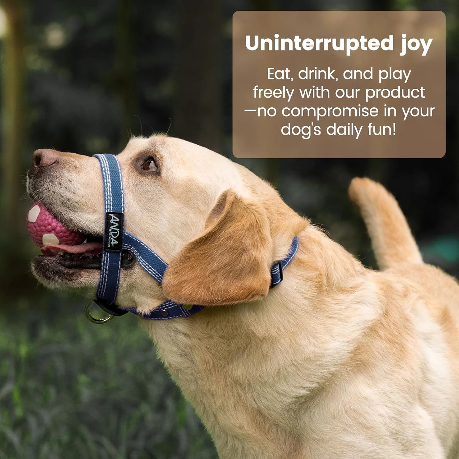 ANDA Ultra-Light No-Pull Gentle Leader for Dogs Headcollar: Adjustable, Breathable Comfort, Prevents Explosive Rushes, Ideal for Daily Use (Blue, Size 1)