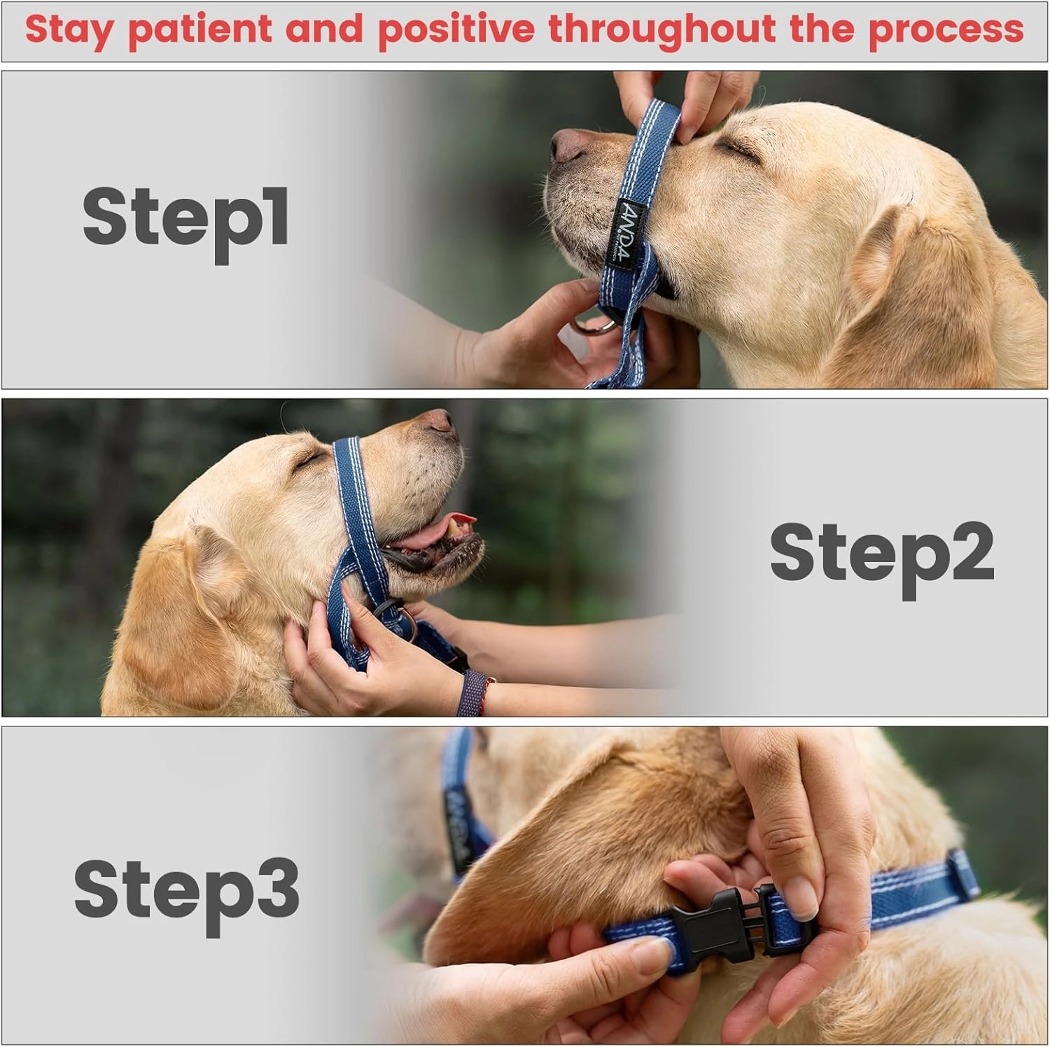 ANDA Ultra-Light No-Pull Gentle Leader for Dogs Headcollar: Adjustable, Breathable Comfort, Prevents Explosive Rushes, Ideal for Daily Use (Blue, Size 1)