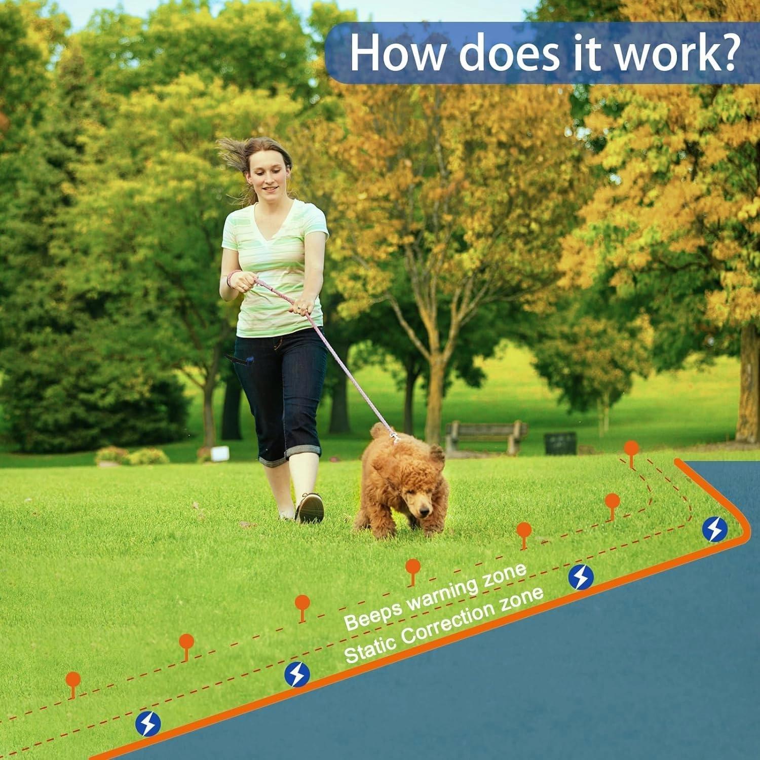 Basic In-Ground Pet Fence - Underground 2 Dogs Fence System, Electric Fence for Dogs Training 2 Collars for Dog Over 20lb, Wireless Electric Dog Fence System (Black, 2 Dogs System)