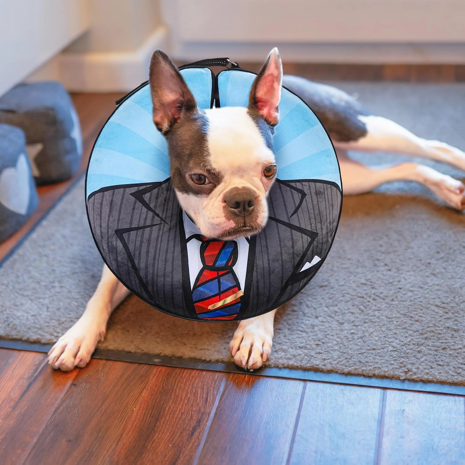 BEAUTYZOO Inflatable Dog Cone Collar, Recovery Dog Cone After Surgery, Adjustable Blow up Dog Donut Collar, Pet Recovery Collar for Dogs,Black XL