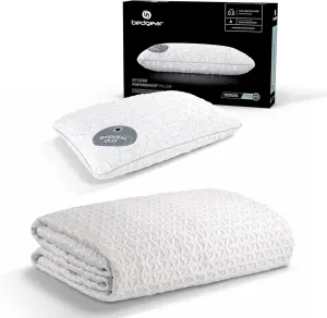 Bedgear Storm Performance Pillow and Ver-Tex Cooling Mattress Protector Bundle – Instant Cooling for Hot Sleepers, All-Night Comfort, and Protection – Waterproof, Breathable, and Adjustable Fit
