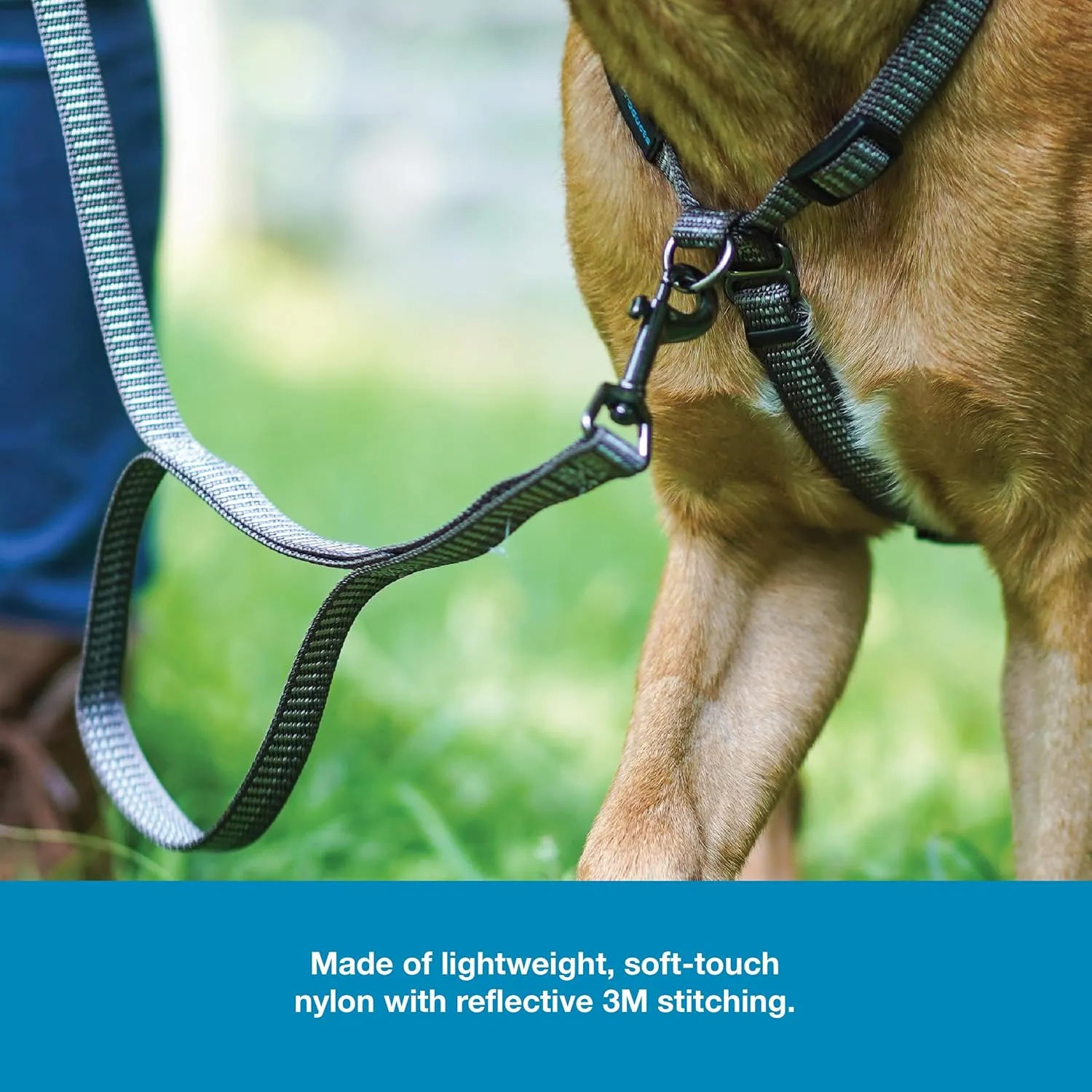 Blue-9 Reflective Dog Leash, Multi-Function 6 Foot Adjustable Lead with Traffic Loop and 3M Reflective Stitching for Obedience, Running, and Agility Training, Made in The USA, Medium/Large, Grey