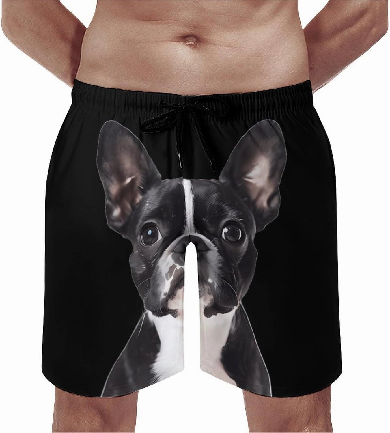 Boston Terrier Cute Funny Men's Swim Trunks Printed Quick Dry Swimwear Beach Shorts With Pocket