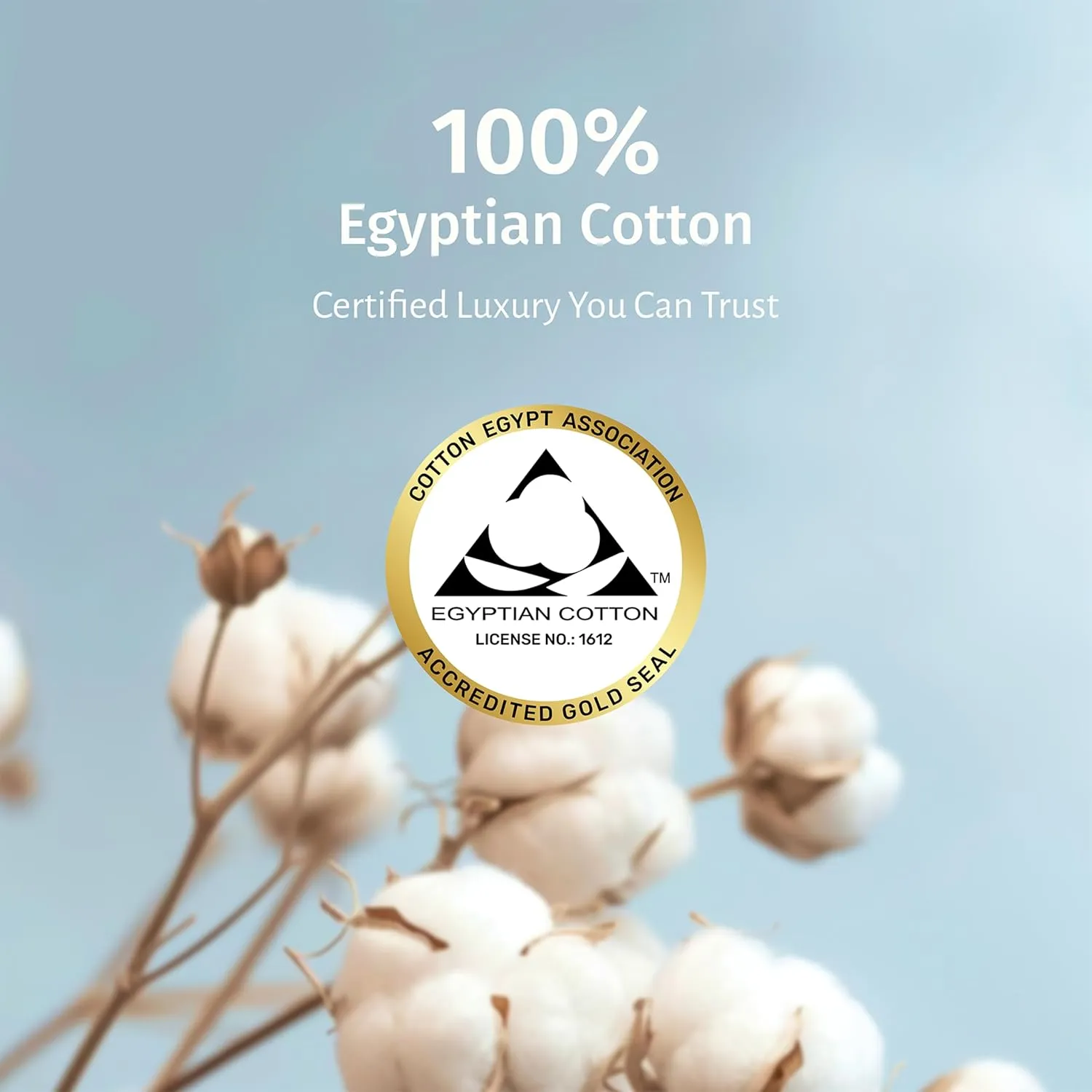 California Design Den Deep Pocket California King Sheet Set - Certified 100% Egyptian Cotton Bed Sheets, Crisp Percale, Cool & Durable Luxury Bedding Set - White