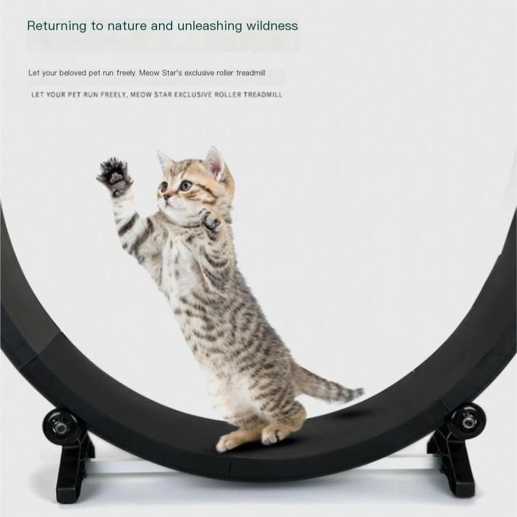 Cat Wheel Exerciser Cat Treadmill Fitness Claw Grinding Sports Pet Treadmill Multi-Functional Silent Treadmill Home Indoor Daily Exercise for Cats