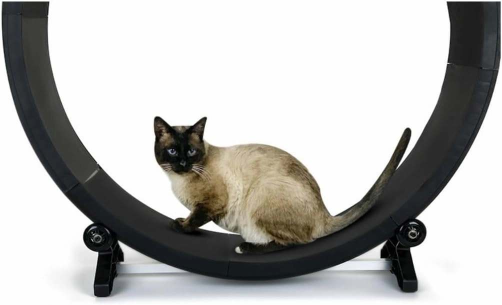 Cat Wheel Exerciser Cat Treadmill Fitness Claw Grinding Sports Pet Treadmill Multi-Functional Silent Treadmill Home Indoor Daily Exercise for Cats