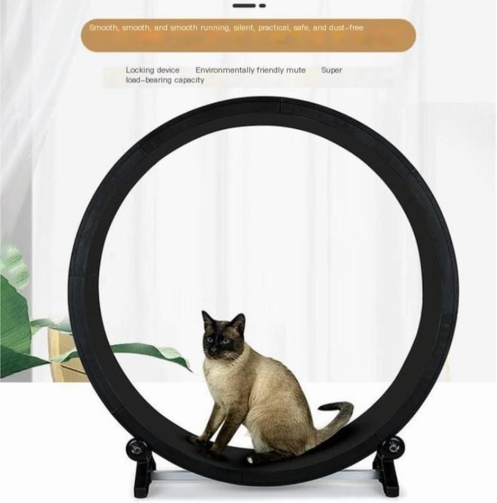 Cat Wheel Exerciser Cat Treadmill Fitness Claw Grinding Sports Pet Treadmill Multi-Functional Silent Treadmill Home Indoor Daily Exercise for Cats
