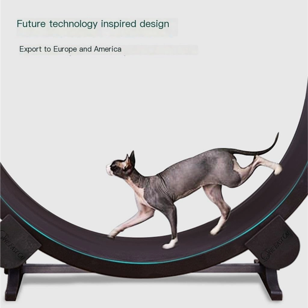 Cat Wheel Exerciser Cat Treadmill for Fitness and Weight Loss, Cat Roller for Grinding Claws, Silent Pet Treadmill, Cat Toy Daily Exercise for Cats