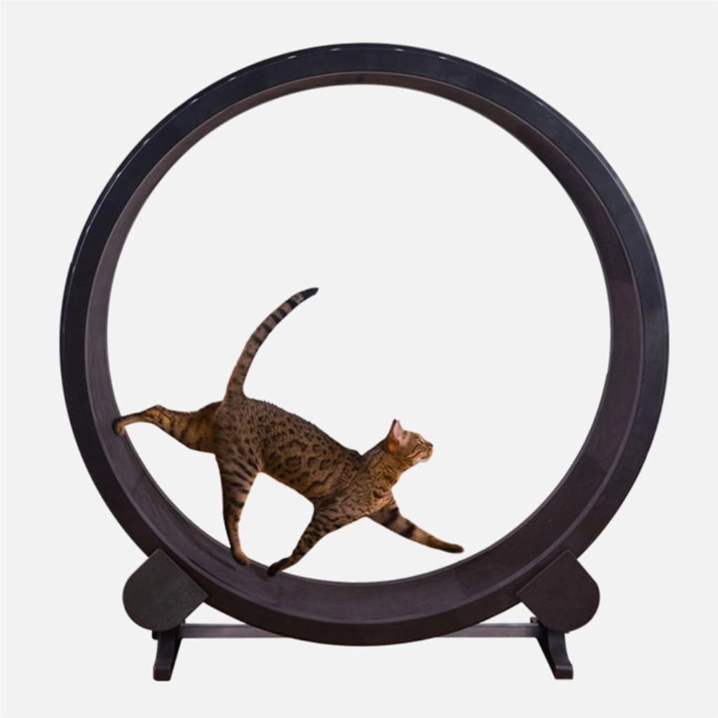 Cat Wheel Exerciser Cat Treadmill for Fitness and Weight Loss, Cat Roller for Grinding Claws, Silent Pet Treadmill for Cats, Cat Toys Daily Exercise for Cats