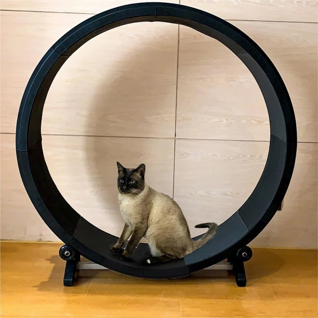 Cat Wheel Exerciser Cat Treadmill for Fitness and Weight Loss, Cat Roller for Grinding Claws, Silent Pet Treadmill for Cats, Cat Toys Daily Exercise for Cats