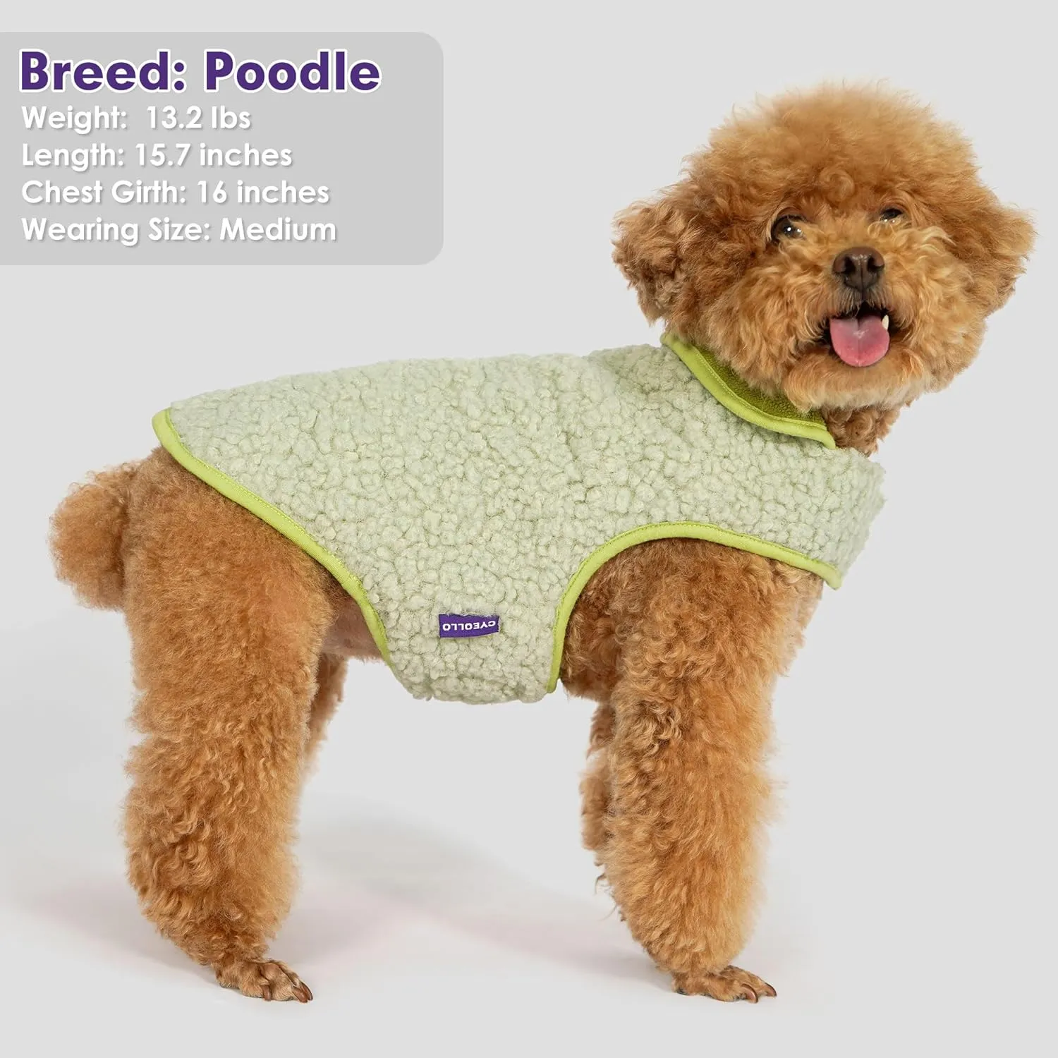 Cyeollo Warm Dog Coat - Fleece Sherpa Winter Sweater, Turtleneck Dog Jacket with Leash Hole, Soft Reversible Coat for Cold Weather, Green, S-M-L