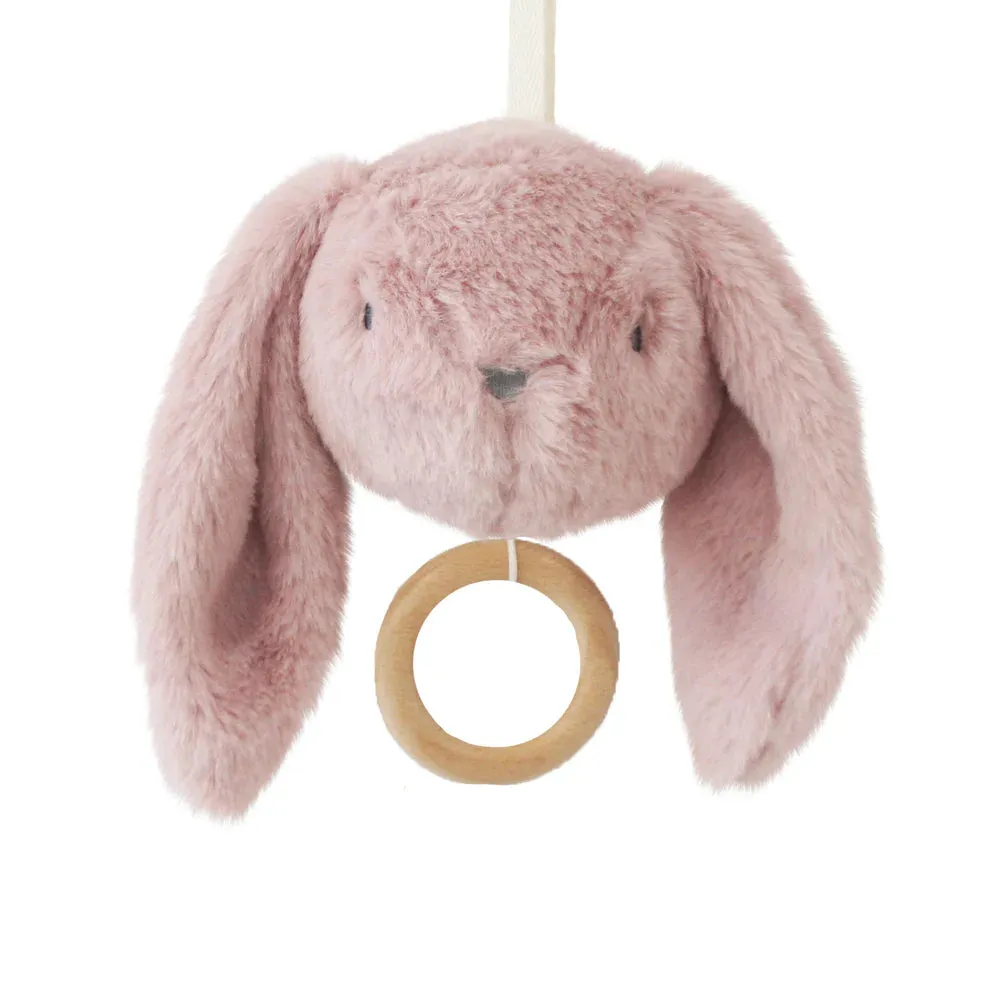 Darcey Bunny Musical