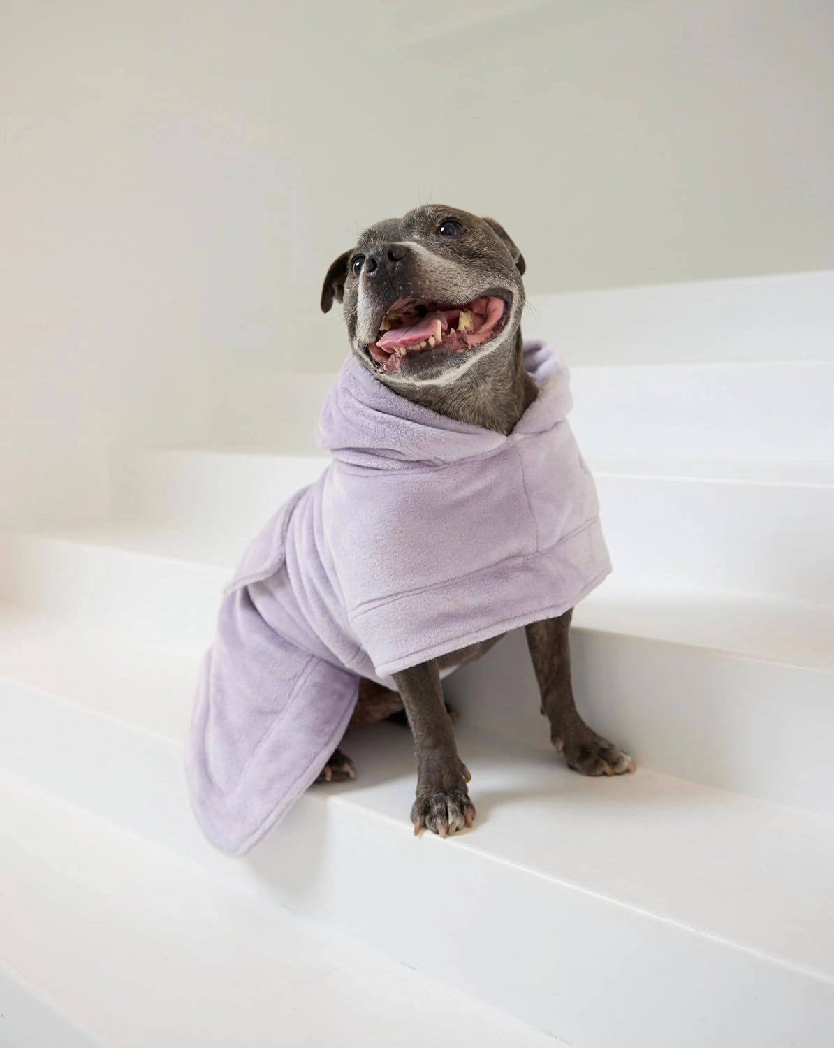 Darren & Phillip Snuggle Buddy Calming Dog Robe | Lilac Ultra-Soft, Plush Robe for Dogs, Cozy & Warm Pet Bathrobe with Adjustable Fit, Body Strap Calms Dogs, Matches Women's Plush Robe