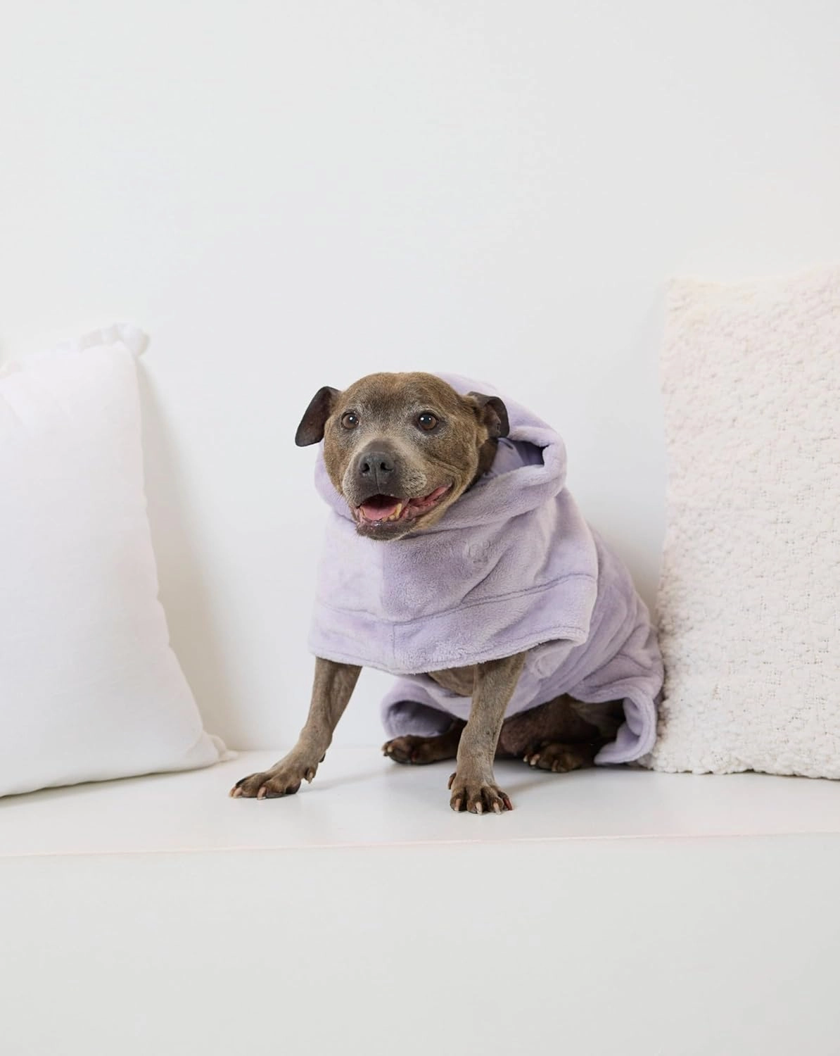 Darren & Phillip Snuggle Buddy Calming Dog Robe | Lilac Ultra-Soft, Plush Robe for Dogs, Cozy & Warm Pet Bathrobe with Adjustable Fit, Body Strap Calms Dogs, Matches Women's Plush Robe
