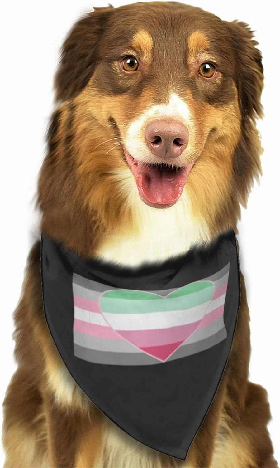 Demigirl Abro-Pride Flag LGBTQ Soft Dog Bandana Scarf Triangle Kerchief Pet Accessories for Dogs & Cats40