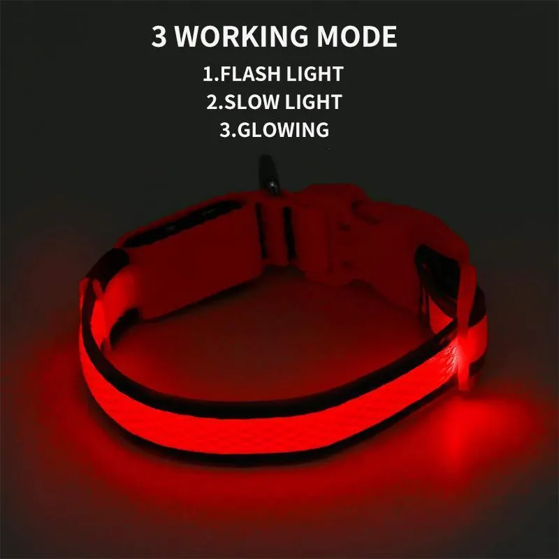 Dog LED Collars