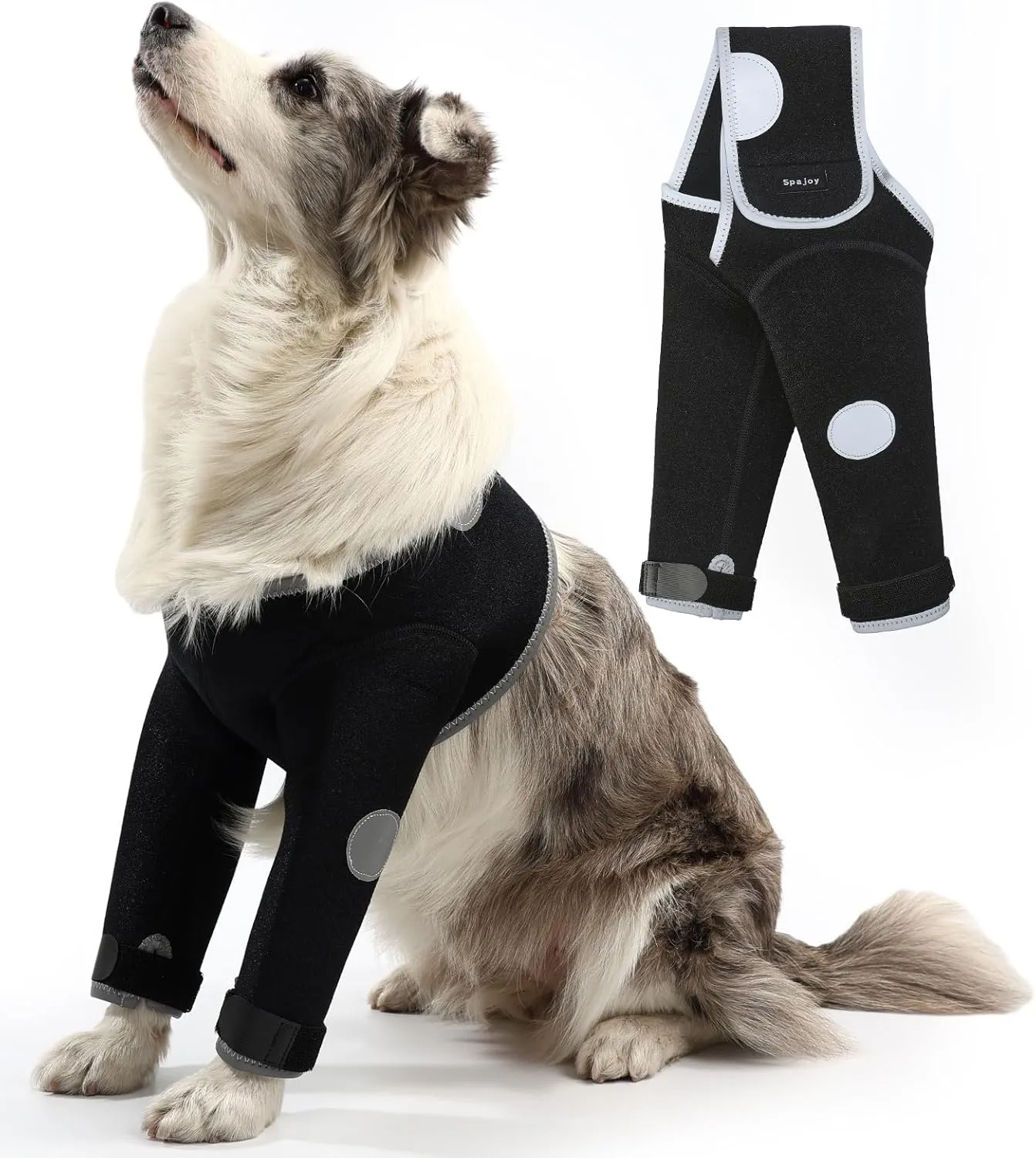 Dog Recovery Suit, Medical Cone Alternative, Abrasion Resistant Dog Recovery Sleeve, Washable 3mm Thick and Waterproof, Pet Wounds Prevent Licking, Bite, Being Wet, and Keep Dry