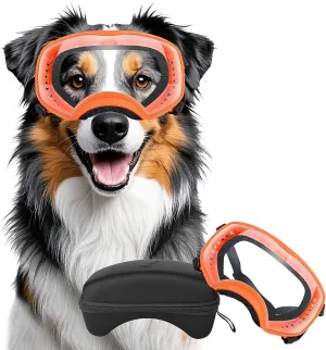 Dog Sunglasses UV Protection Clear Dog Goggles Windproof Glasses with Elastic Straps for Medium-Large Breed, Orange Frame   Clear Lens