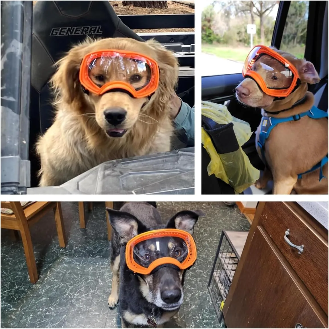 Dog Sunglasses UV Protection Clear Dog Goggles Windproof Glasses with Elastic Straps for Medium-Large Breed, Orange Frame   Clear Lens