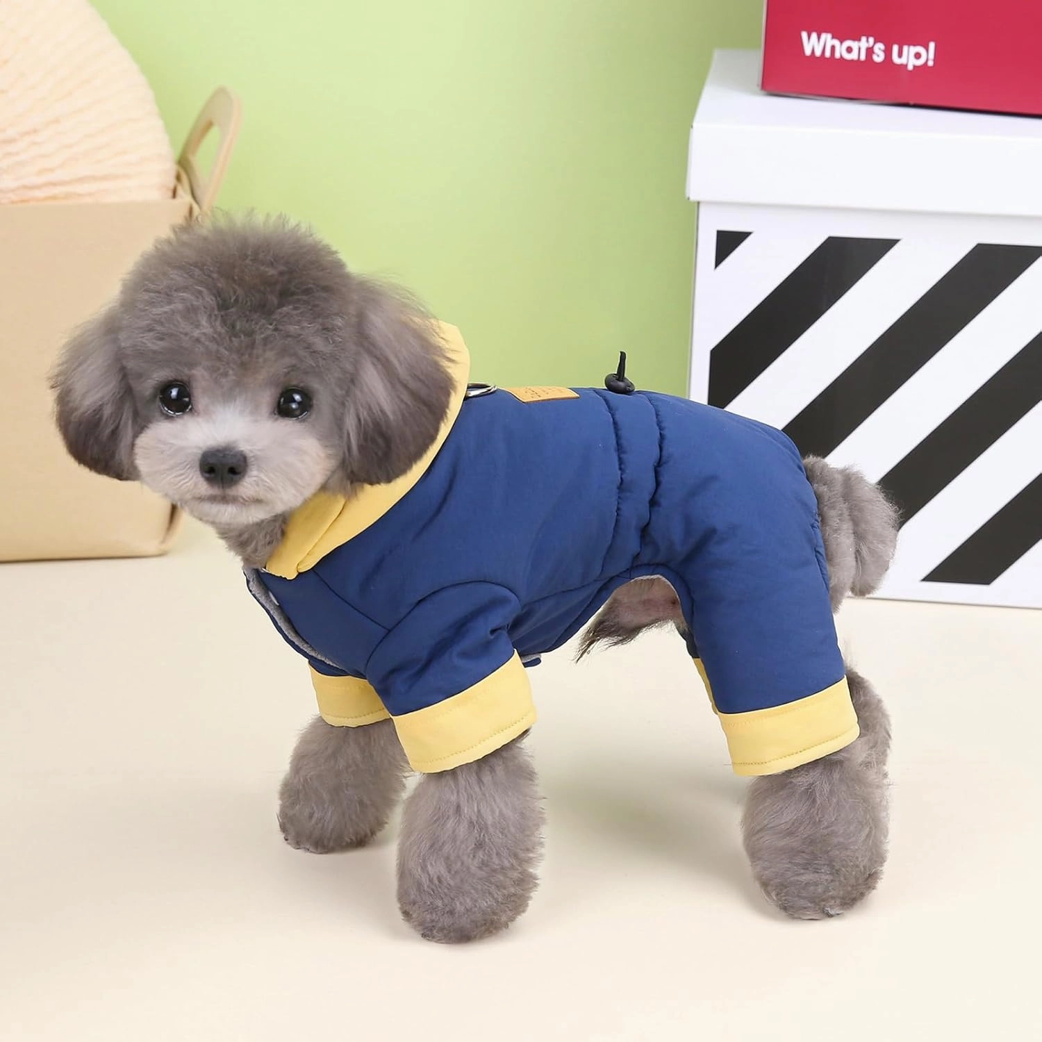 Dog Coat Windproof Jacket Cold Weather Coat 4 Legs Warm Dog Jumpsuit Winter Thick Coat Snow Proof Clothes Cotton Dog Coat for Small Dog Medium Dog Cat Blue L