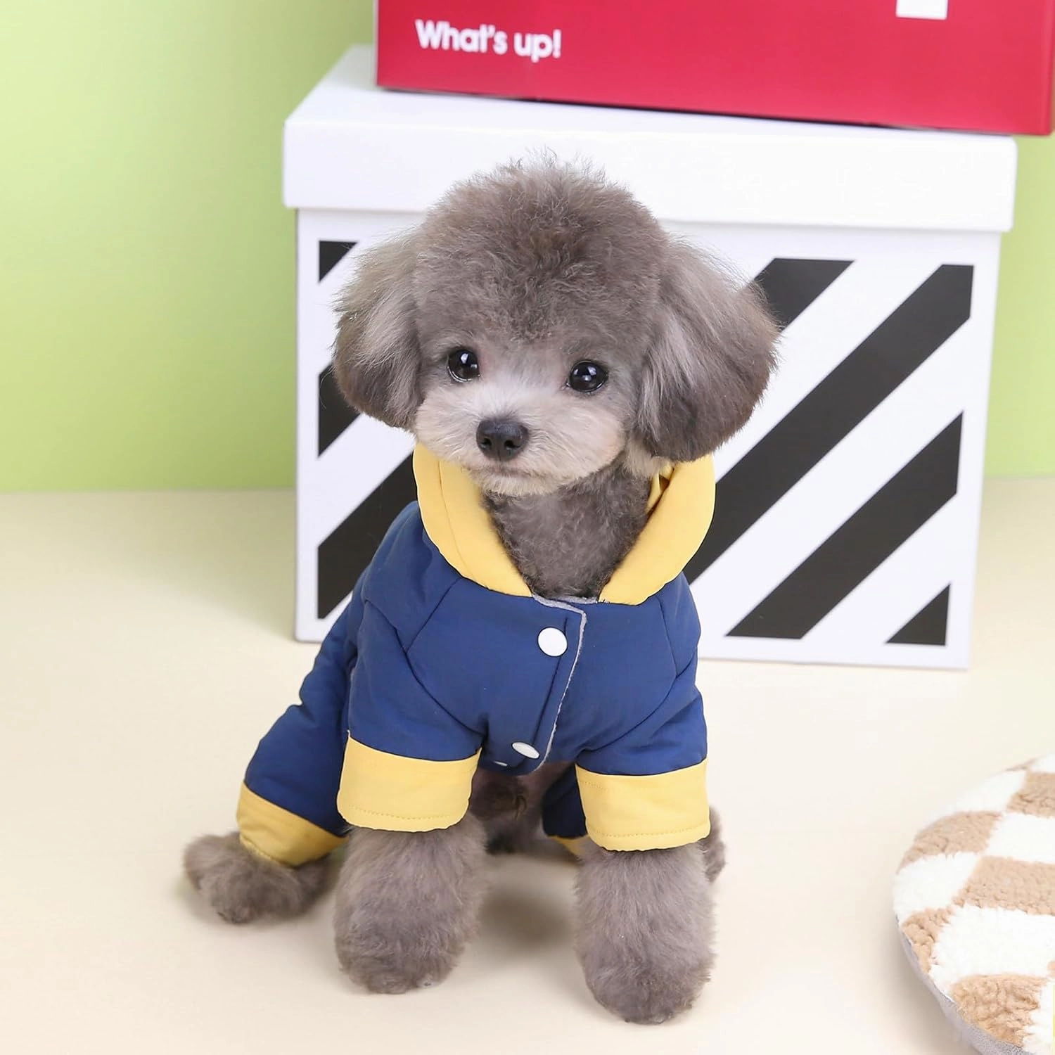 Dog Coat Windproof Jacket Cold Weather Coat 4 Legs Warm Dog Jumpsuit Winter Thick Coat Snow Proof Clothes Cotton Dog Coat for Small Dog Medium Dog Cat Blue L