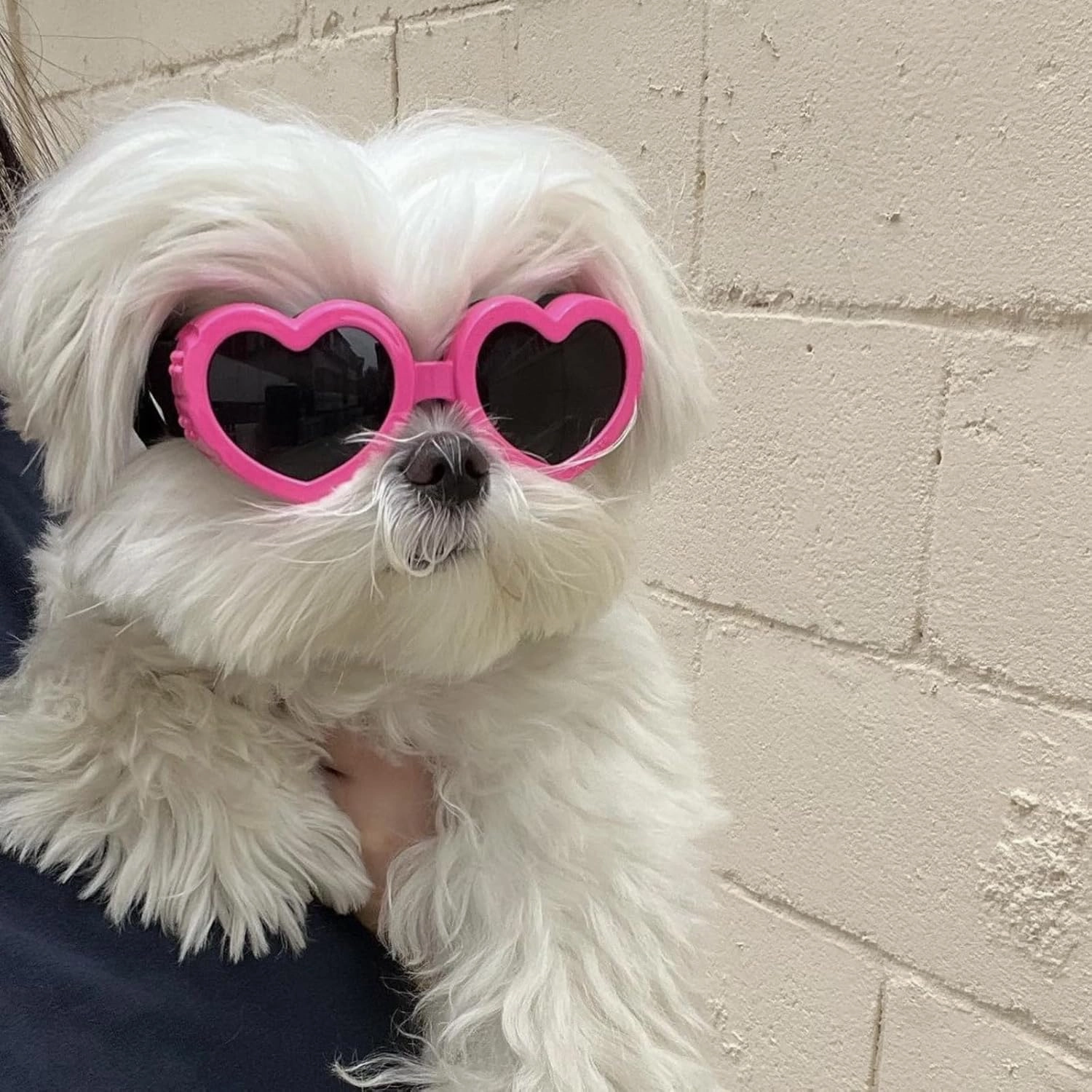 Dog Heart Shaped Goggles Wind-Resistant – Stylish Cute UV Protection Sunglasses for Outdoor Riding and Walking (Pink)