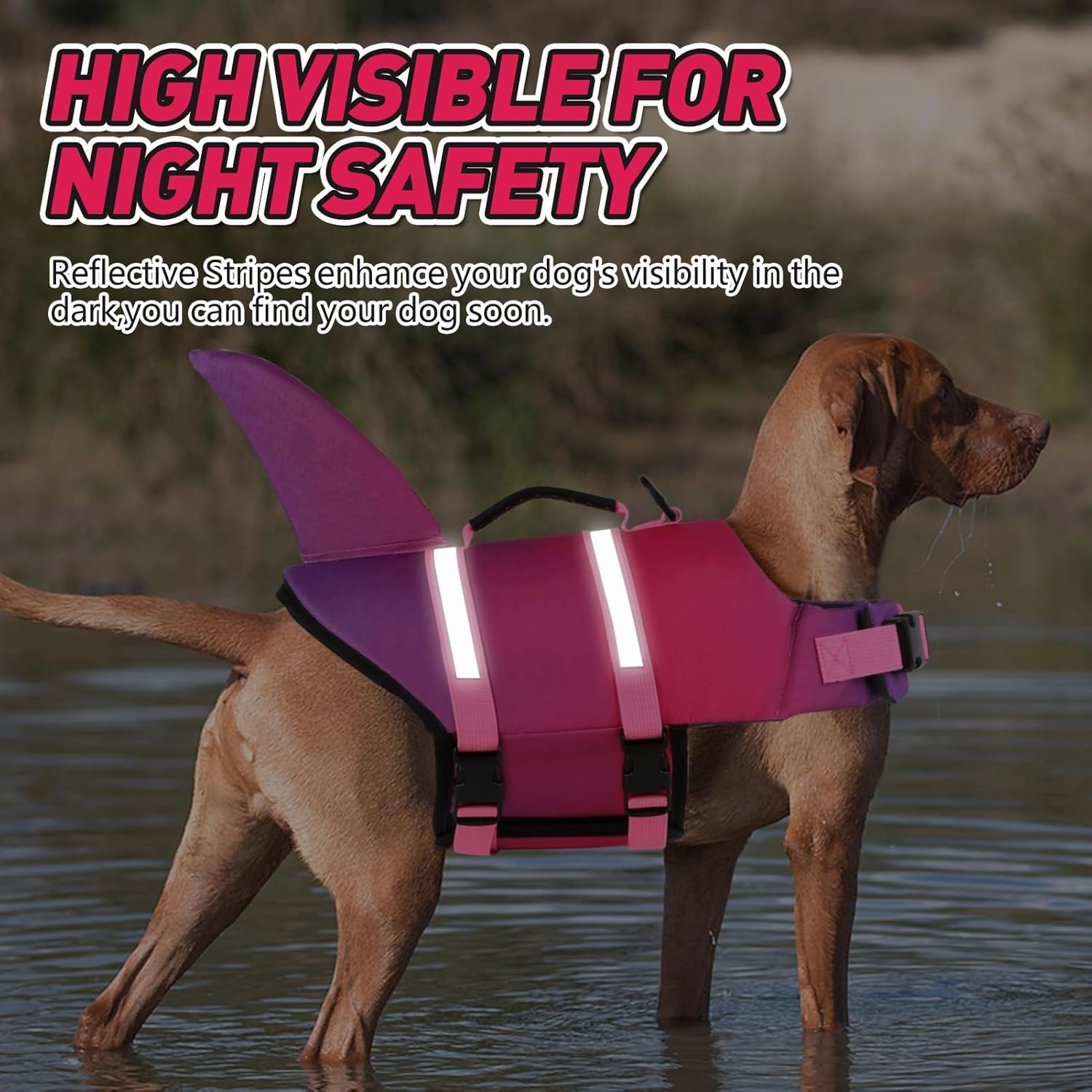 Doglay Dog Life Jacket, Ripstop Cute Shark Dog Life Vest with Superior Buoyancy and Rescue Handle, Adjustable Puppy Life Vests for Swimming Boating, Pet Flotation Vest for Small Medium Large Dogs