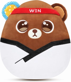 Easfan 12'' Taekwondo Bear Plush Pillow Soft Karate Teddy Plush Toy Cute Stuffed Animal Adorable Gifts for Taekwondo Lovers Kids Girls and Boys
