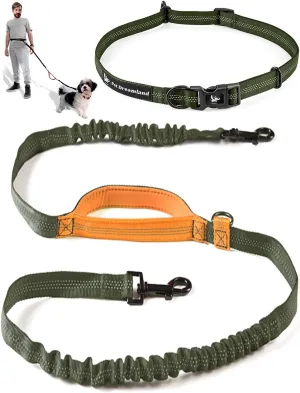 Exquisite Hands-Free Leash for Medium Dogs: Perfect for Active Pet Owners Comfortable, Durable & Ideal for Running, Walking, Hiking. Premium Dog Waist Leash with Bungee. Must-Have Dog Gear
