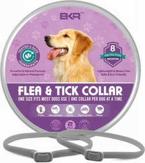 Flea Collar for Dogs – 2 Pack 16 Month Natural Flea & Tick Prevention Dog Flea Collar Adjustable One Size Fits All, Safe and Effective