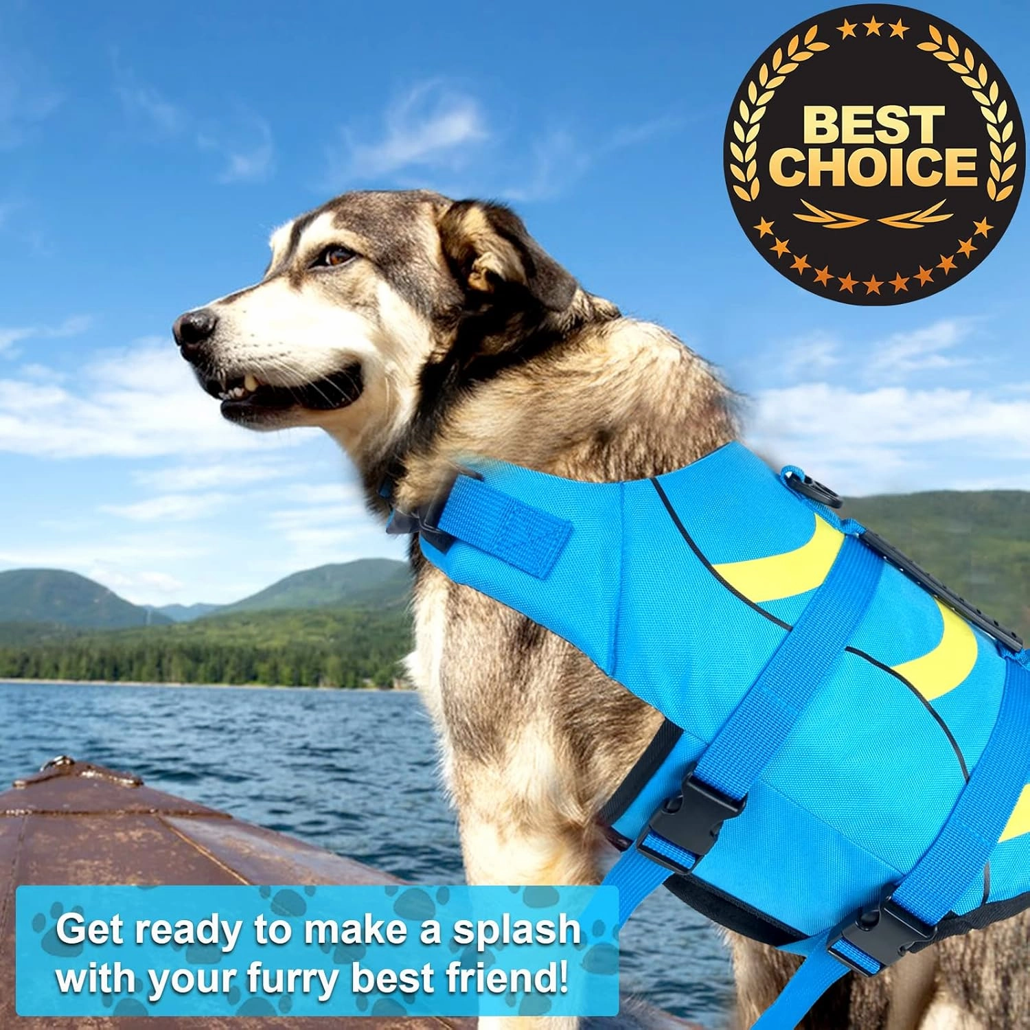 Fragralley Shark Dog Life Jacket, Adjustable Dog Life Vest with Shark Fin, Suit for Small Medium Large Dog Life Vest for Swimming and Boating