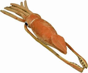 FRANKIEZHOU Simulation Squid Plush Toy, 12' Lifelike Stuffed Animal, Soft Squid Plushie, Gift for Kids