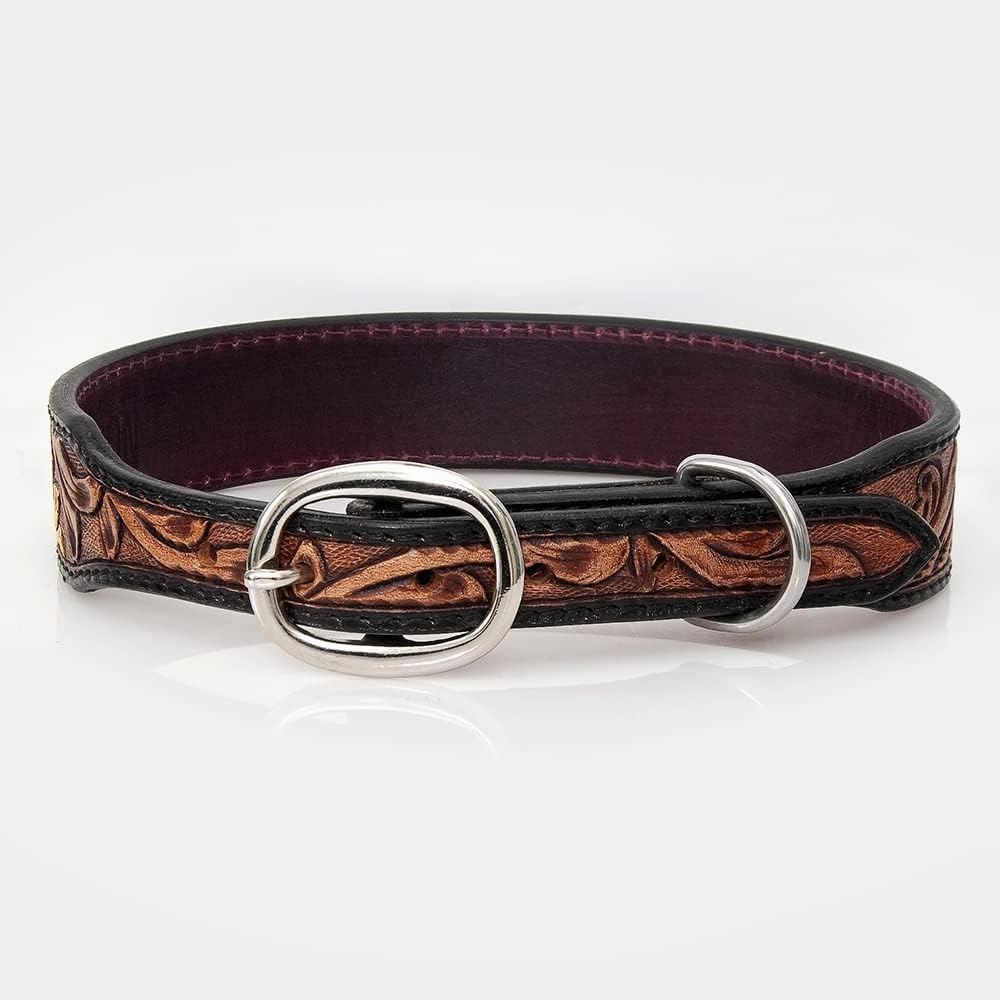 HILASON Tan Small Strong Genuine Leather Dog Collar Painted Small | Dog Collar | Leather Dog Collar | Painted Dog Collar