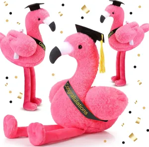 HyDren 2 Pack Graduation Stuffed Flamingo Animal Class of 2025 Plush Flamingo, 10 Inch Stuffed Animal with Graduation Cap and Diploma for Kindergarten High School College Students Gifts