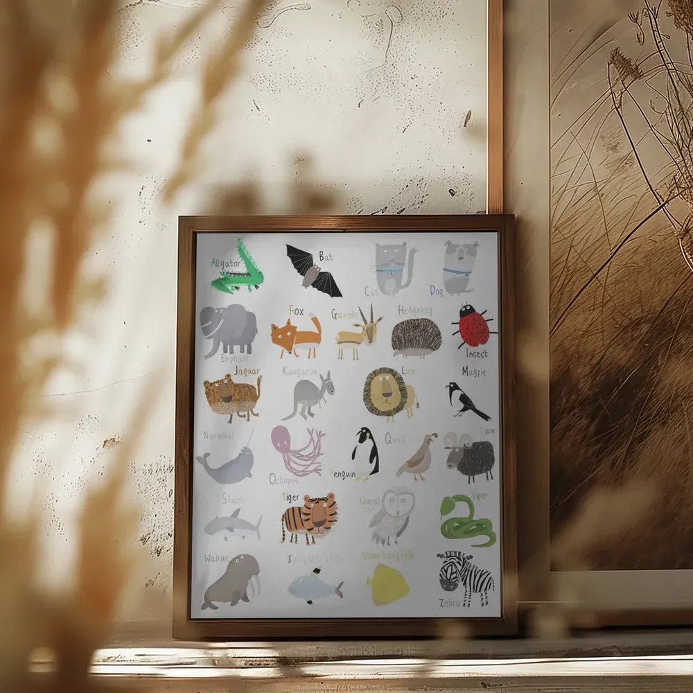 Illustrated Alphabet Animal Letters