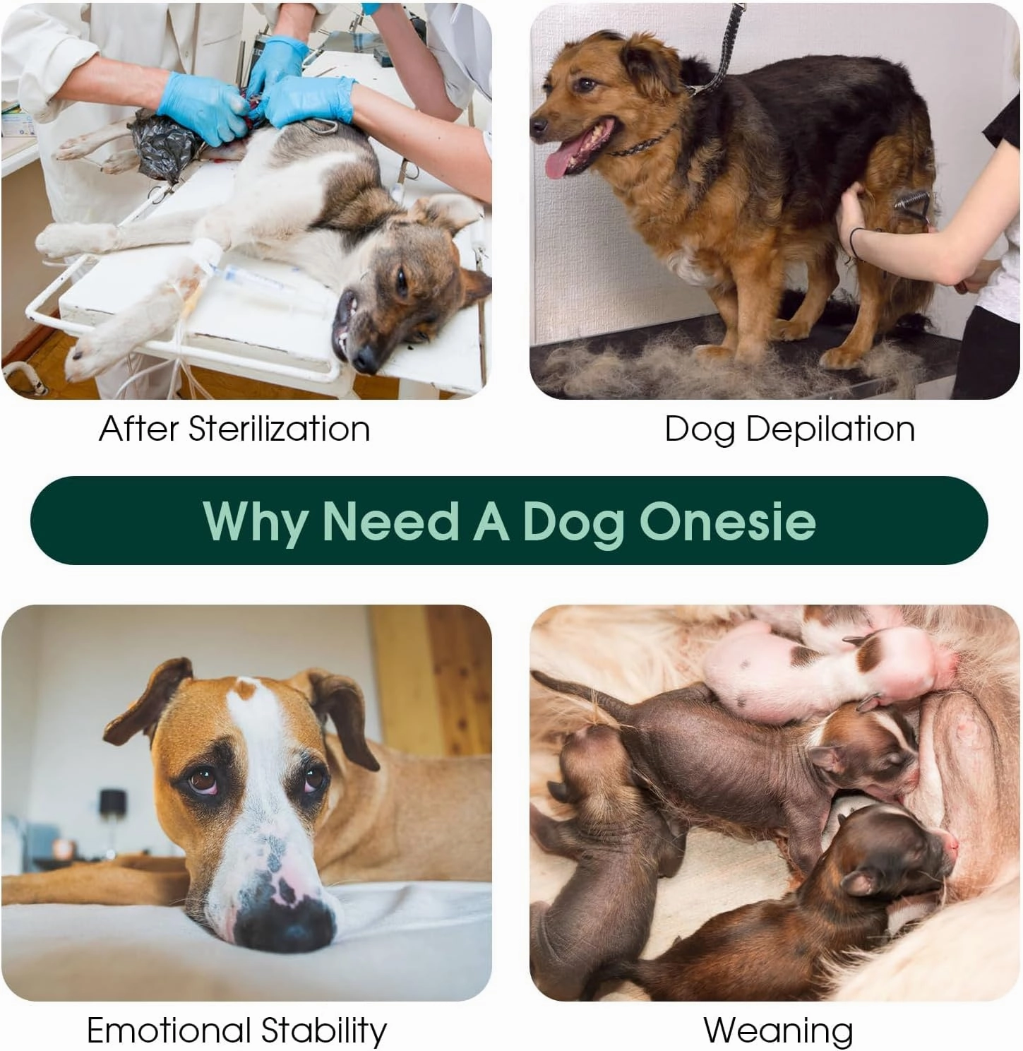 Kuoser Dog Surgery Recovery Suit, Recovery Suit for Female Male Dogs, Dog Onesie After Surgery Spay Neuter, Anti-Licking Pet Surgical Recovery Snugly Suit, Bodysuit for Abdominal Wounds Skin Disease