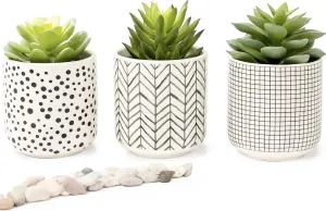 Kurrajong Farmhouse Artificial Succulents in Pots | Set of 3 Black and White Pots | Faux Plants Indoor for Desk Decor | 4.75" High