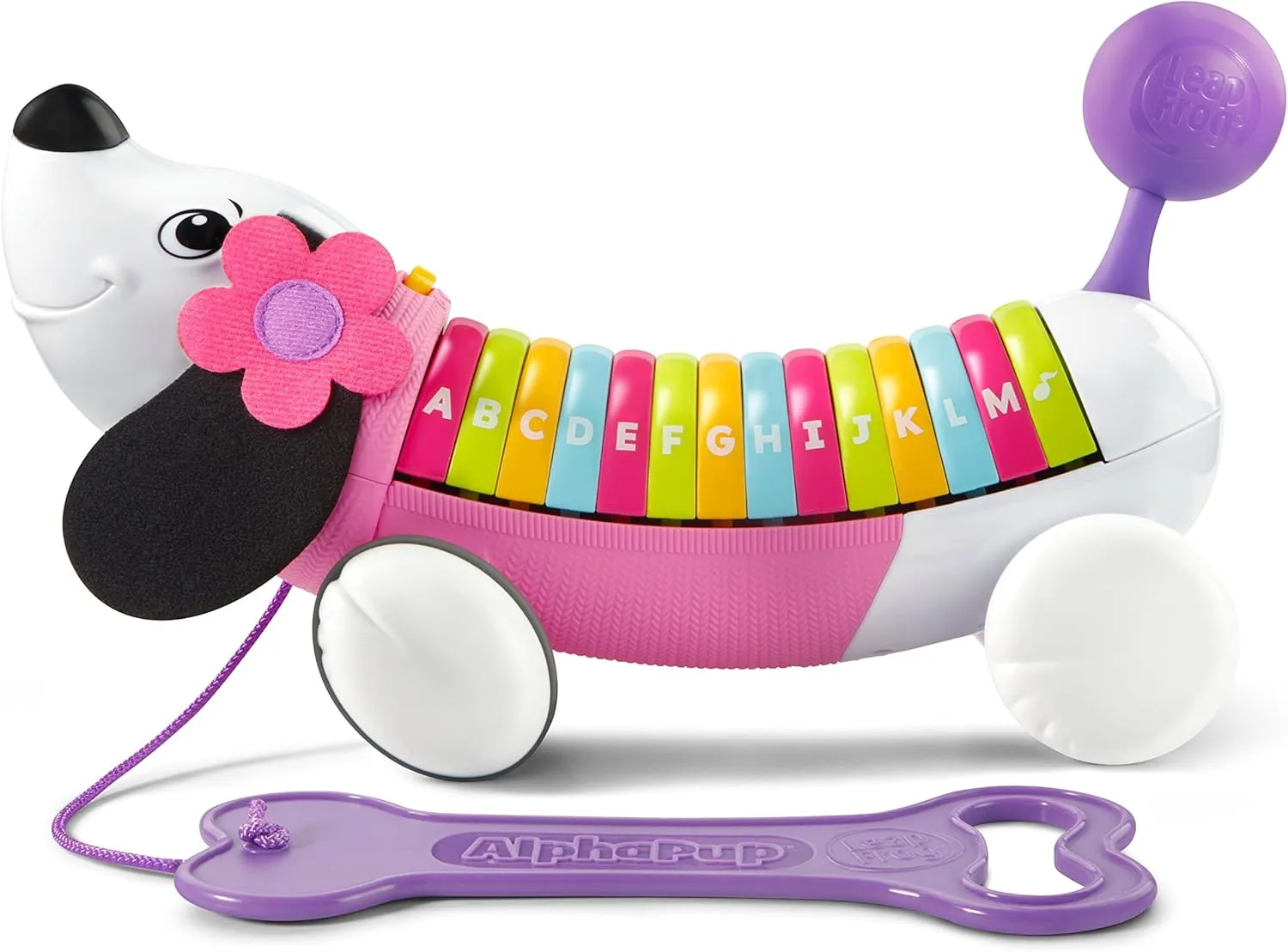 LeapFrog Alphapup, Purple/Pink, Great Gift for Kids, Toddlers, Toy for Boys and Girls, Ages 1, 2, 3