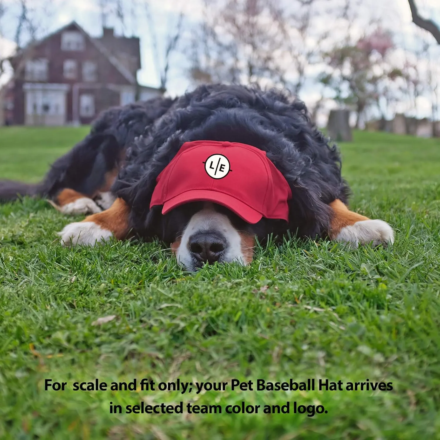 Little Earth NHL Pet Baseball Hat