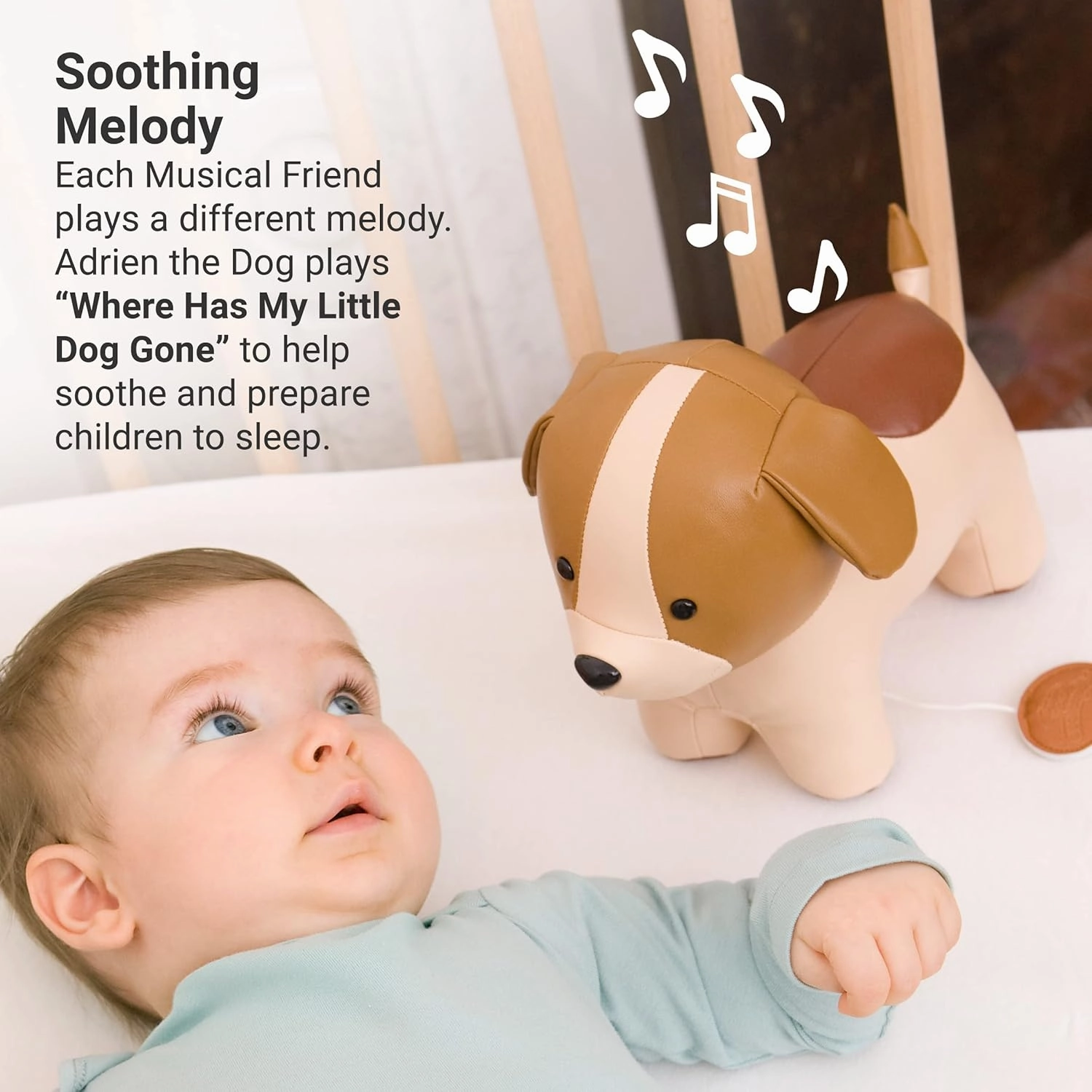 Little Big Friends Musical Friends | Pull String Cord Musical Toy for Baby | Special Stuffed Animal | Easy to Clean | Adrien The Dog