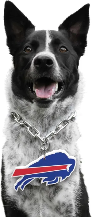 Littlearth NFL Pet Fan Chain